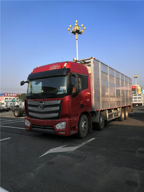 國(guó)六歐曼前四后八歐曼畜禽運(yùn)輸車選歐曼，營(yíng)運(yùn)、環(huán)保齊全，提供整車合格證